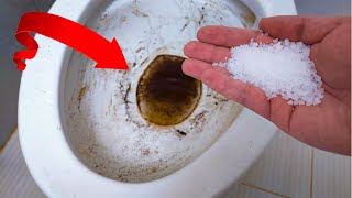 The Secret to a Spotless Toilet Say goodbye to a dirty toilet bowl forever with just salt [upl. by Akeemahs]