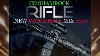 NEW DANCEHALL  MIX 2019  RIFLE  SQUASH  TEEJAY  KARTEL  G6IXX [upl. by Felecia]