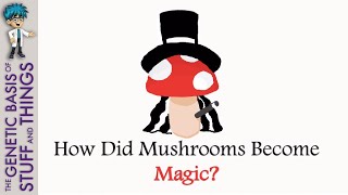 How did mushrooms become magic The evolution of hallucinogenic Agaricomycetes [upl. by Seagrave]