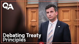 David Seymour Implications of Treaty Principles Bill  QA 2024 [upl. by Nonnair119]