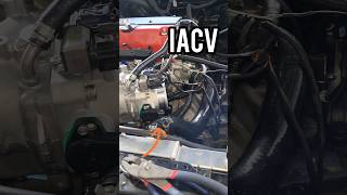 How Does an IACV Work k24swap k24 k20 kswap honda acura [upl. by Ellehsat708]