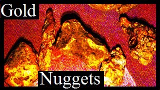 ELECTRONIC GOLD PROSPECTING SHORT MOVIE Five Gold nuggets found Subscribe to see more [upl. by Louella]