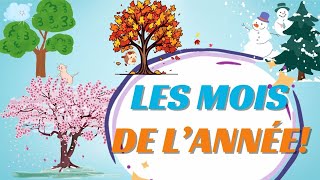 LES MOIS DE LANNÉE I MONTHS OF THE YEAR IN FRENCH [upl. by Otha]