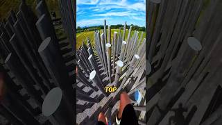 Never Climb Such Poles shortsvideo [upl. by Fallon]