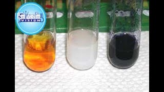 How to do Starch test with iodine indicator [upl. by Aihsilat76]