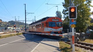 Bahnübergang Huttwil CH  Swiss Railroad Crossing [upl. by Laehcimaj]