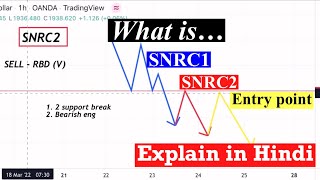 What is SNRC2  SNRC1 amp SNRC2 Explain in Hindi  Nora Bystra Course Part5  DrFX [upl. by Simpkins]