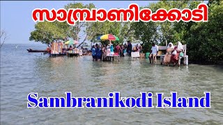 Sambranikodi  സാമ്പ്രാണിക്കൊടി sambranikodi island keralatourism Ashtamudi lake tourismviral [upl. by Nnaeel]