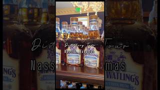 FREE Distillery Tour  Nassau Bahamas [upl. by Riebling]