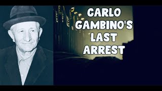 Gambinos last arrest [upl. by Ahearn]