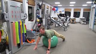 2 Great Multifidus and Lumbar Extensor Exercises for Low Back Pain [upl. by Alioz]