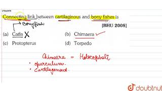 Connecting link between cartilaginous and bony fishes is [upl. by Hpsoj811]