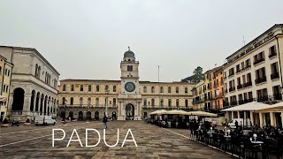 Padua [upl. by Eugenie983]