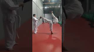 Mawashi Geri Karate [upl. by Felise]