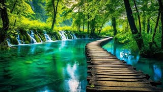 Salinan dar Relaxing Music Relieves Stress Anxiety and Depression Sounds of Nature [upl. by Teresa]