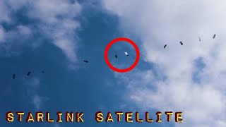 Starlink Satellites train seen in the sky LOW PASSE  Musk SpaceX [upl. by Stretch]