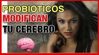 ✅ PROBIOTICOS ➡️▶︎ Cómo el MICROBIOMA modifica tu 🧠 CEREBRO [upl. by Neelehtak395]