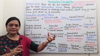 Vincristine amp Vinblastine Part 01  Industrial Production Estimation and Utilization Part 17 [upl. by Jeroma]