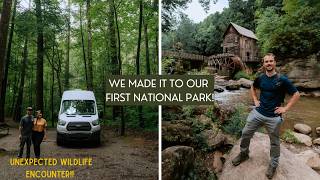 We made it to NEW RIVER GORGE NP  FULLTIME VANLIFE  Our first wildlife encounter [upl. by Jens]