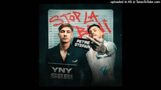 PETRE STEFAN X YNY SEBY Type Beat 2024 Stop la bani 2quot prodwhoisvlxd [upl. by Okihsoy]