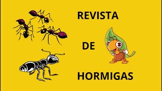 Revista de Hormigas  Ant Review [upl. by Bevers153]