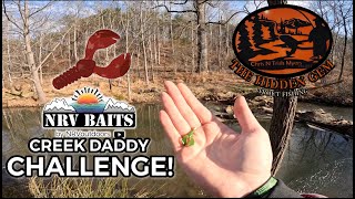 6 Fish Limit TROUT FISHING CHALLENGE w NRV Baits CREEK DADDY  The Hidden Gem Trout Stream Virginia [upl. by Nabetse633]