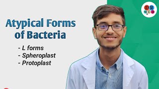 LForm Spheroplast Protoplast  Cell wall deficit forms of bacteria  Microbiology bangla lecture [upl. by Teuton]