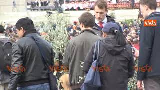 Domenica delle Palme in Piazza San Pietro gli ulivi della Puglia [upl. by Yretsym630]