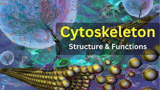 Cytoskeleton structure and function Cytoskeleton class 11  Cytoskeleton bsc 1st year [upl. by Ietta]