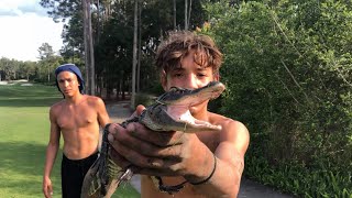 Baby Gator Calls for Mother 🐊😱Fishing Trip Gone Wrong [upl. by Buchbinder]