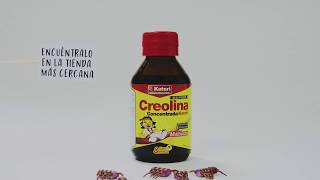 Creolina Concentrada [upl. by Gnahc]