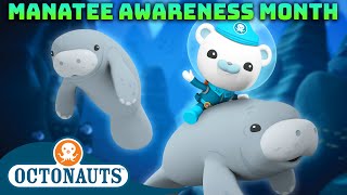 Octonauts  🛟 Manatee Rescue Operation ⛑️  Manatee Awareness Month  40 Mins Compilation [upl. by Oisangi476]