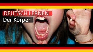 5 LEARN GERMAN BODY LERNE DEUTSCH DER KÖRPER [upl. by Ancalin]