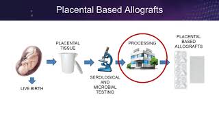 Placental Based Allografts From Womb to Wound [upl. by Nnil202]