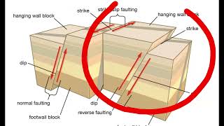 Large Earthquake M65 Kermadec Islands Reverse Thrust Quake And Aftershocks [upl. by Regine]