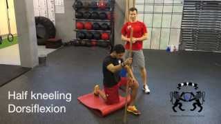 FMS In Line Lunge Correctives [upl. by Laamaj]