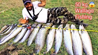 😱50 kg Big Wallago Fishing Techniques  Big fish pathan Fishing Videos  Ahtesham khan Fishing [upl. by Tamis]