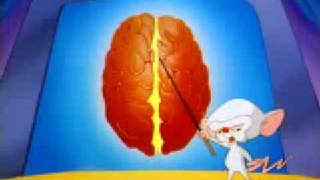 pinky y cerebro partes del cerebro [upl. by Rhpotsirhc]