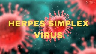 Herpes simplex virus  Keratitis  OPHTHALMOLOGY  USMLE  NEETPG  INICET  MBBS  Medical science [upl. by Ahsiekar]