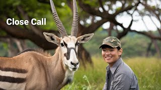 The Great Escape Incredible Gemsbok Herd Footage [upl. by Yanad877]