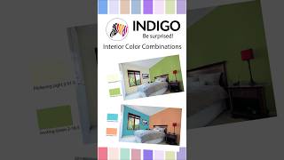 Indigo Paints bedroom Color combinations  2 [upl. by Leinahtan]