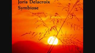 Joris Delacroix Symbiose Original Mix [upl. by Tnecnev599]