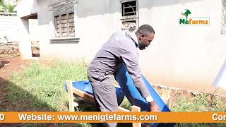 How Small spaces can be utilised for Goat Farming UrbanBackyard Goat Farming MeFarms [upl. by Fidelio]