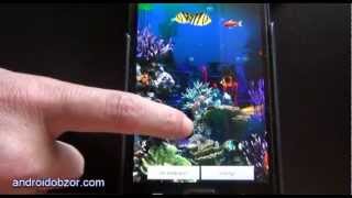 Aquarium 3d Live Wallpaper [upl. by Letch631]