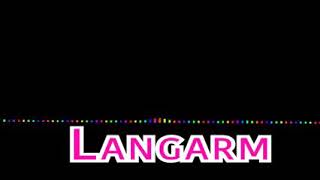 Langarm mix [upl. by Armilda]