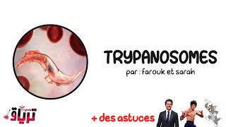 Parasitologie خفيف ظريف  trypanosomes  par  farouk et sarah [upl. by Alessandro665]