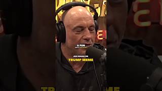 Joe Rogan On Trump VS Harris [upl. by Rramaj375]