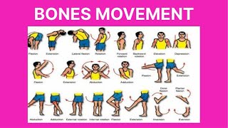 bones movement terminology  body movement terms anatomy body planes of motion [upl. by Lotti]