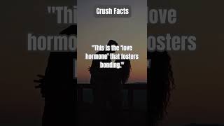 Crush Facts Must Know [upl. by Bigelow375]