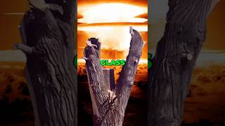 How Did a Tree Nearly END the World usa military shorts [upl. by Nnagrom]